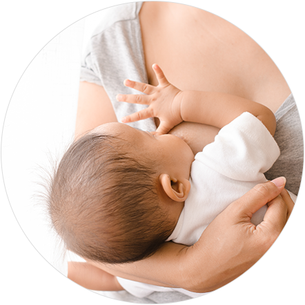 442*auto px / .jpg 권장